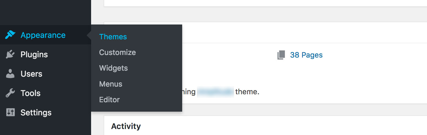 Install WordPress Theme