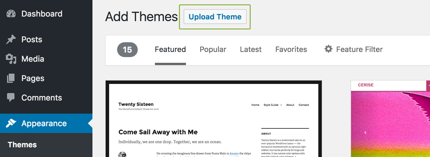 Install WordPress Theme