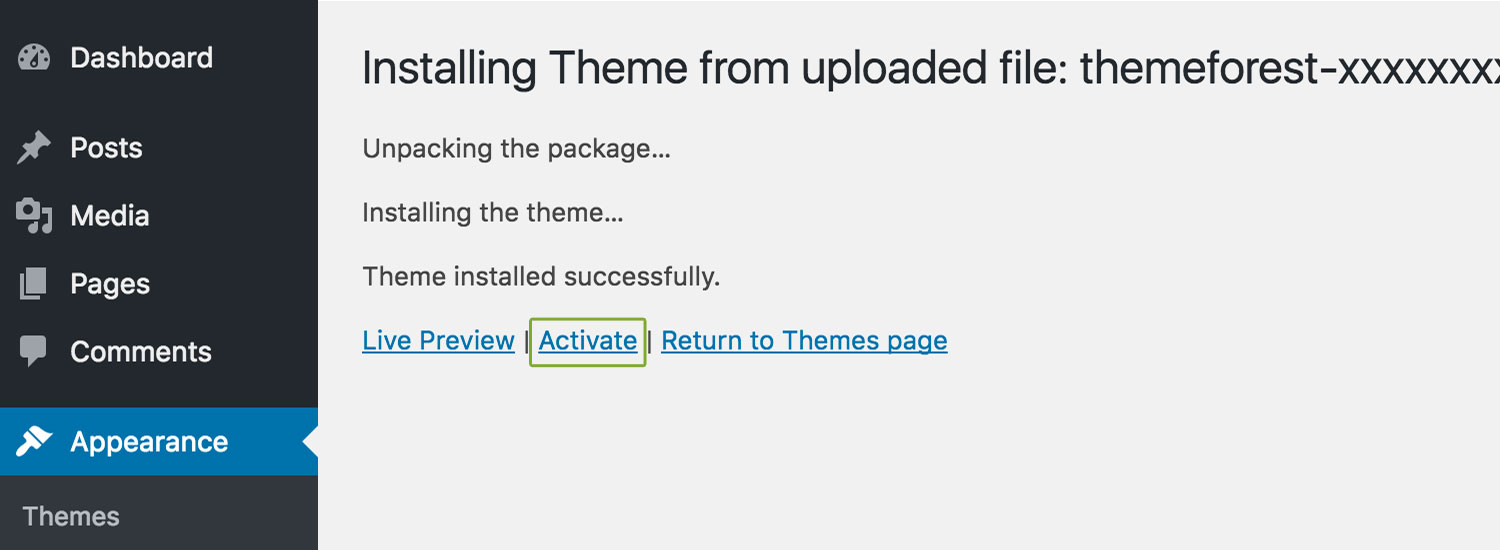 Install WordPress Theme