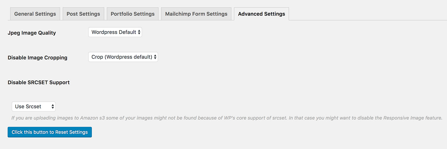 Theme Options Panel - Advanced Settings