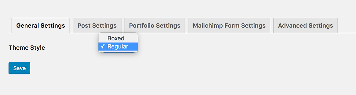 Theme Options Panel - General Settings