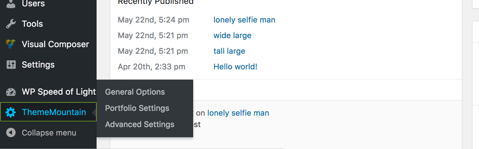 Theme Options Panel