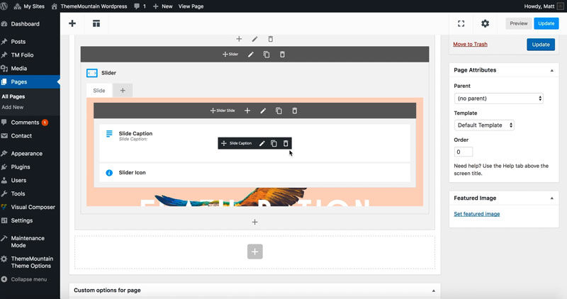 Adding video and background video to the slider